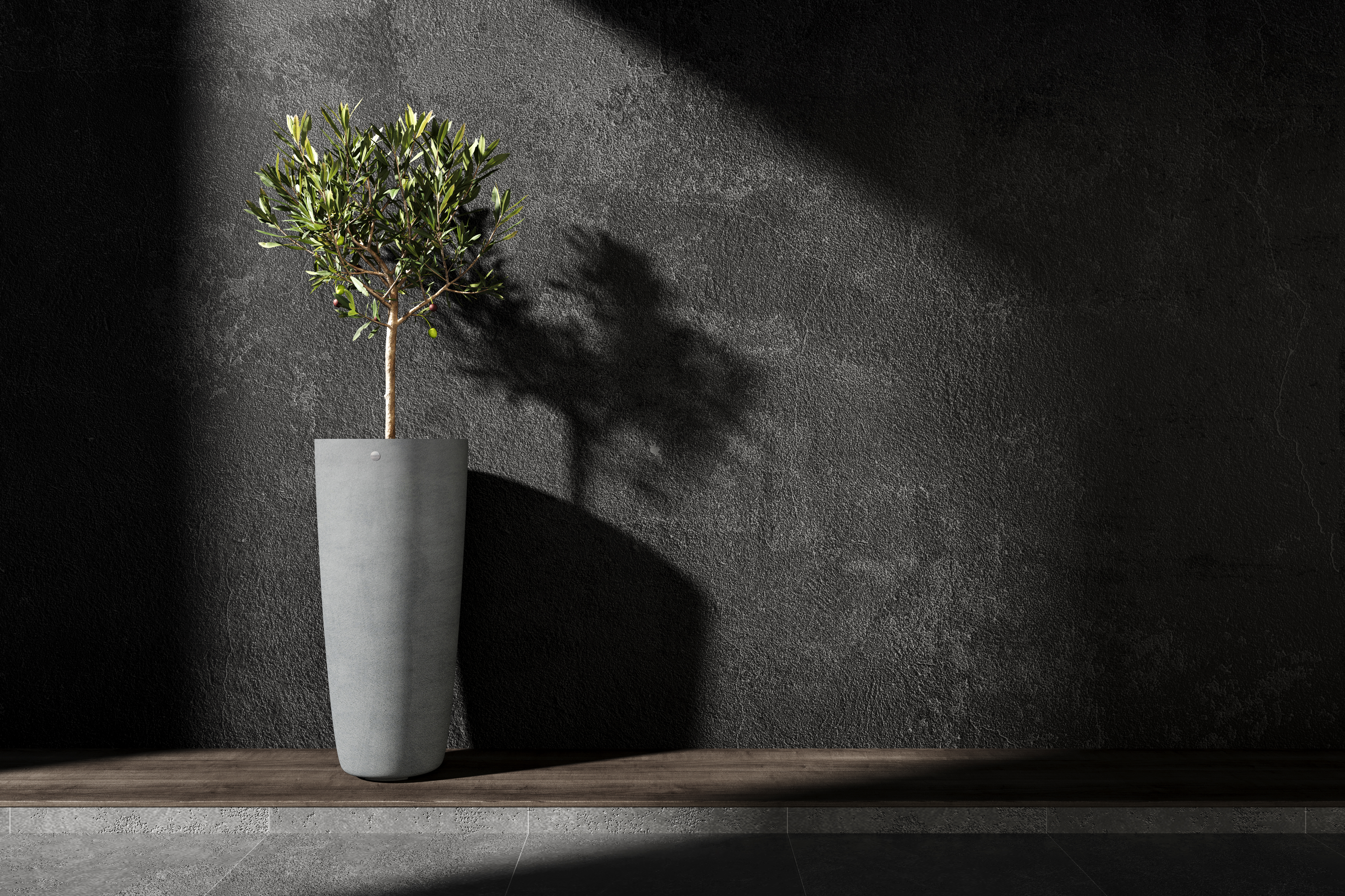 Pflanzen­gefässe der Premium-Marke «Cosapots» sind einzigartige Kunst­werke!